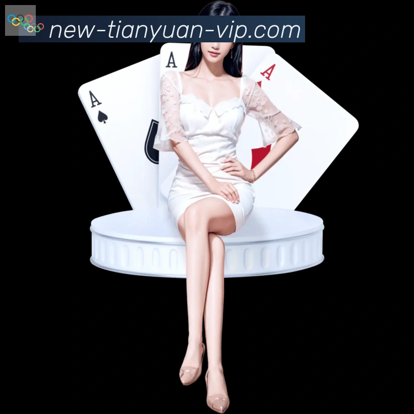 互动解说服务